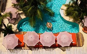 Divino Gili Air